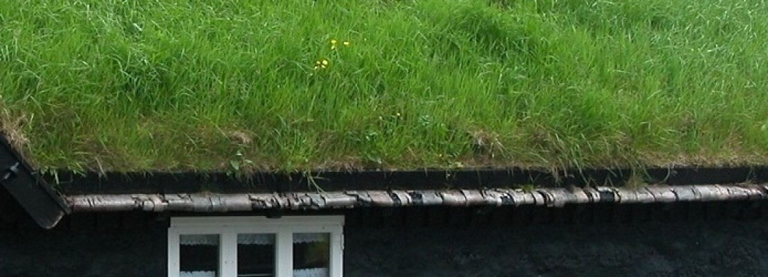 Tetto verde