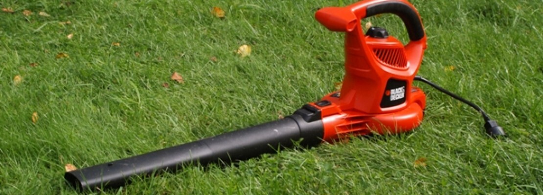 Un aspirafoglie della Black and Decker.