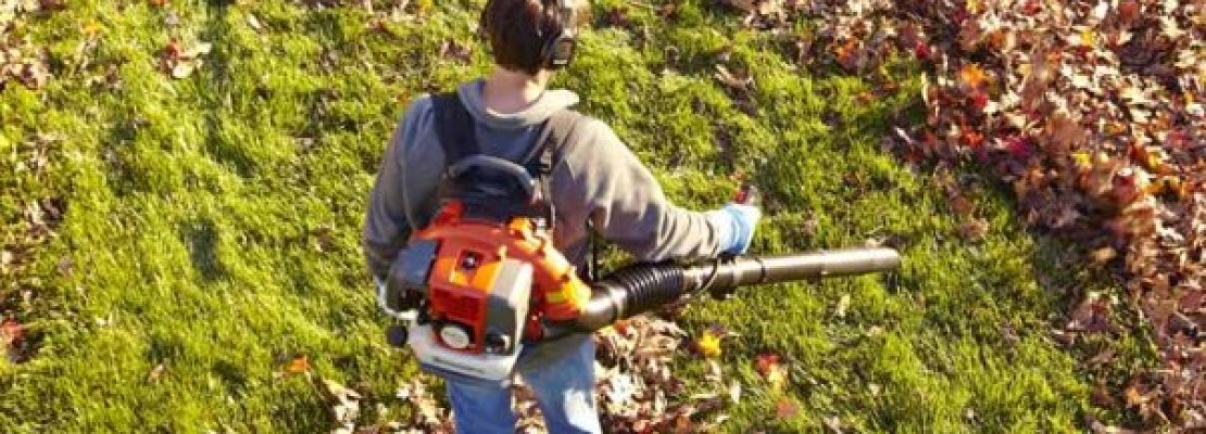 Un soffiatore per foglie è uno strumento indispensabile per la cura del giardino.
