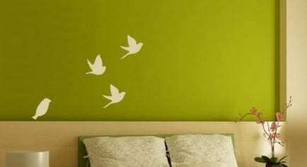 Parete pitturata color verde con uccellini disegnati