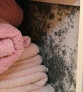 Muffa su armadio vicino ad asciugamani