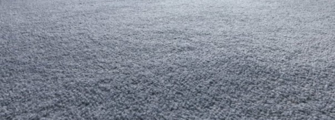 moquette cosa sapere