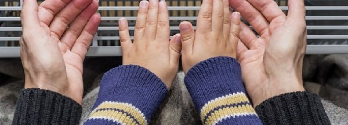 stufe elettriche cosa sapere