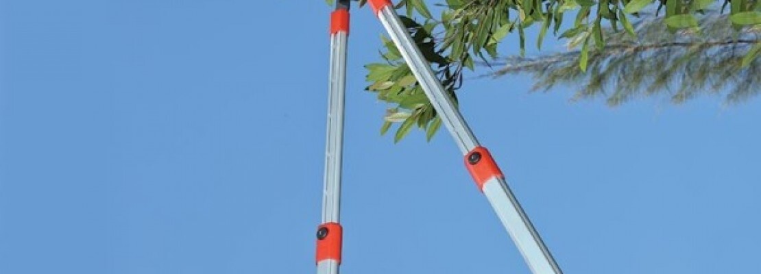 Delle cesoie telescopiche.