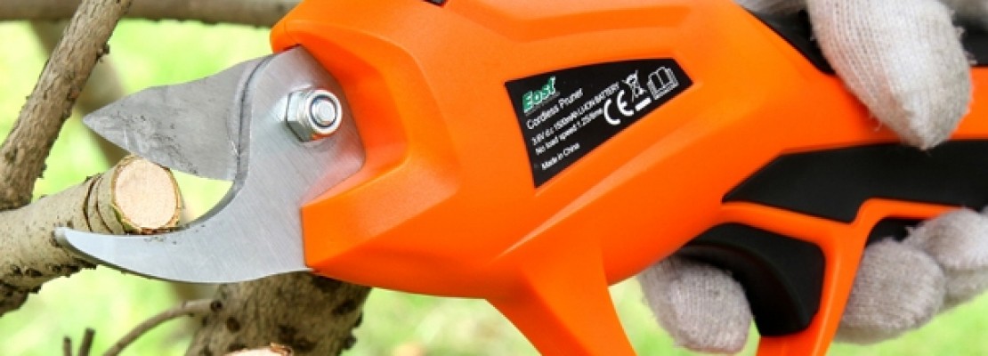 Delle forbici da giardino a batteria.