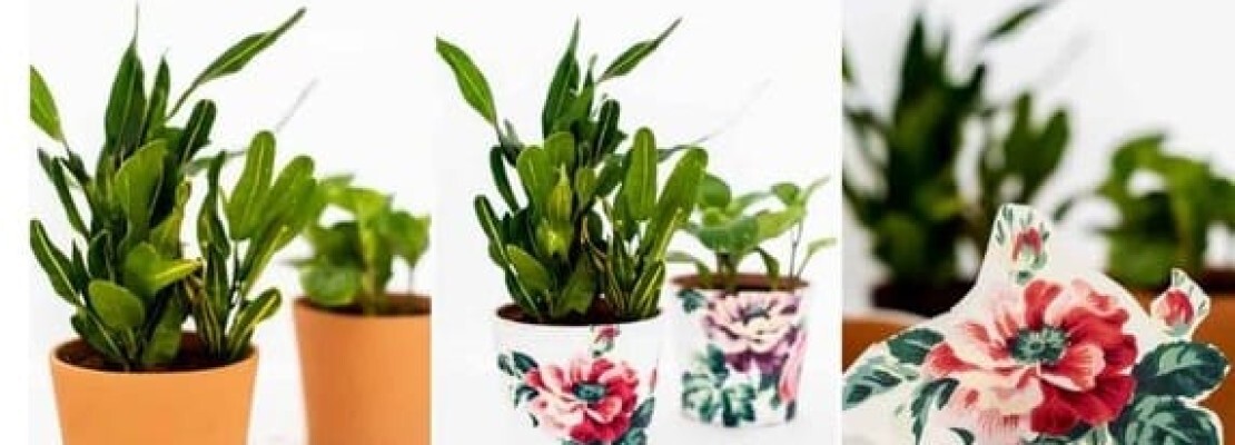 Splendidi vasi di fiori decorati con la tecnica del découpage