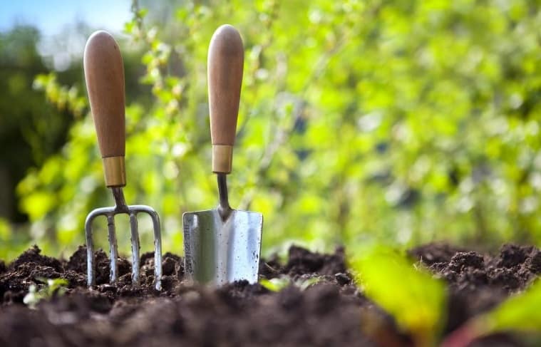 Due attrezzi per il giardinaggio