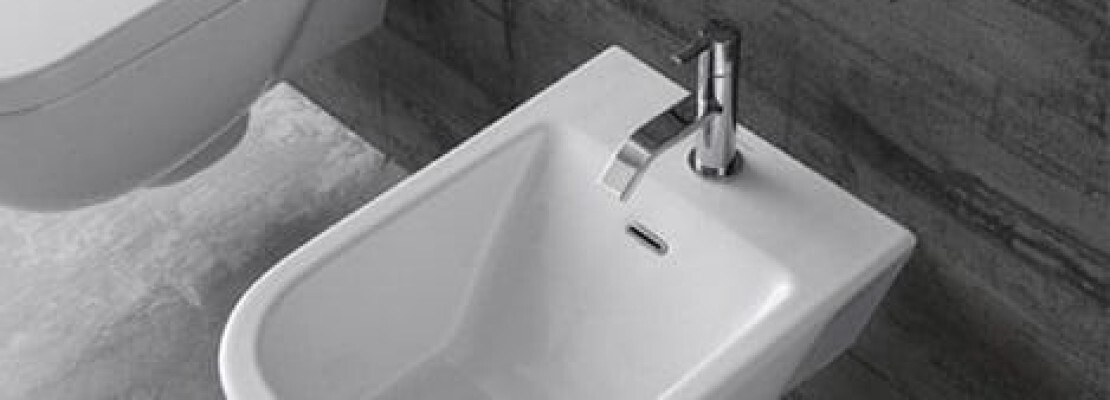 Un nuovo modello moderno di bidet da bagno