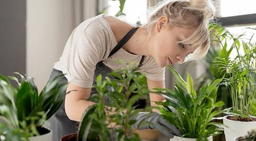Una ragazza che si dedica alla cura delle proprie piante in casa