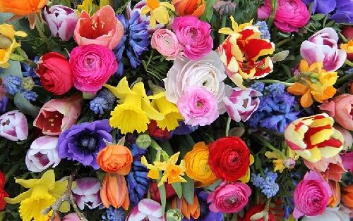 JeVenis 12 Sacchetti Regalo Floreali Con Fiori Selvatici E Farfalle – Per Matrimoni, Baby Shower E Feste