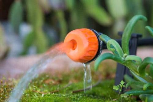 Sistema di irrigazione a micro-goccia per un giardinaggio efficiente e sostenibile