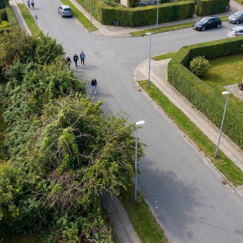 Ti piace la siepe wild? Fai attenzione o rischi come questo ambientalista