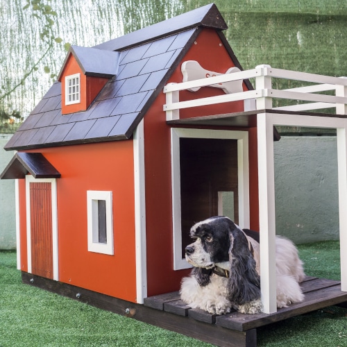 Cuccia per cani da esterno: come scegliere il modello giusto valutando dimensioni, posizione in giardino o in terrazza e isolamento dal caldo e dal freddo.