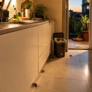 Blatte in cucina vicino al battiscopa con strumenti per la disinfestazione domestica.