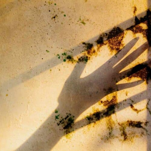 Le case italiane sono messe male? Uno studio rivela l’amara verità
