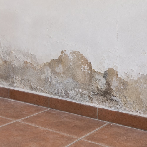 Parete interna con segni di umidità di risalita, pittura scrostata e muffa nella fascia bassa vicino al pavimento.