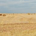 La paglia come materiale edile, un ritorno al passato per l'edilizia naturale.