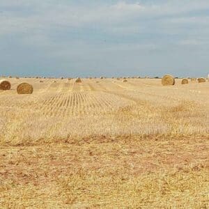 La paglia come materiale edile, un ritorno al passato per l'edilizia naturale.