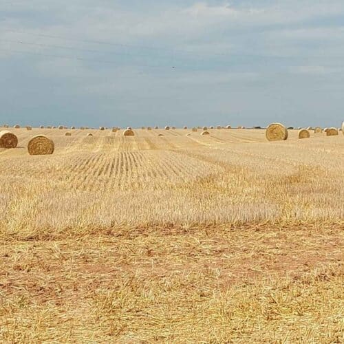Edilizia naturale, le case con la paglia sono il futuro?