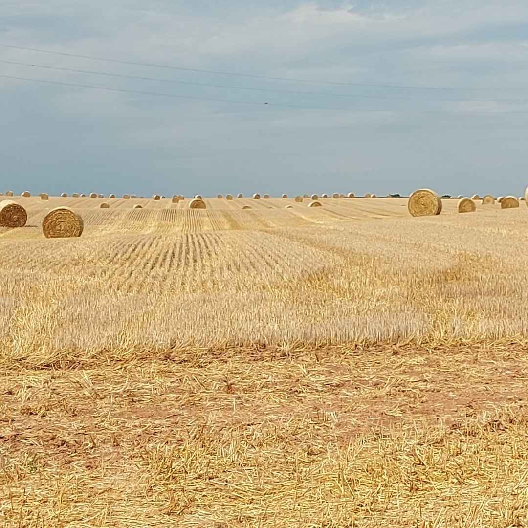 La paglia come materiale edile, un ritorno al passato per l'edilizia naturale.