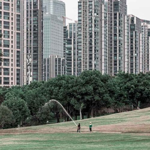 Vivere vicino al verde pubblico ci rende davvero più felici? E quanto? Da un gigantesco studio, la risposta definitiva