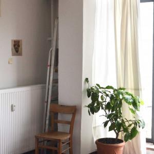 Ereditare casa comporta difficoltà legate alla redditività dell'immobile.