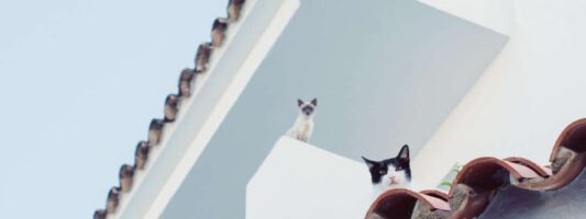 Sanatoria negata, c'è la fiscalizzazione dell'abuso che salva dalla demolizione.